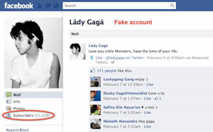 Fake Facebook Profile Example-2