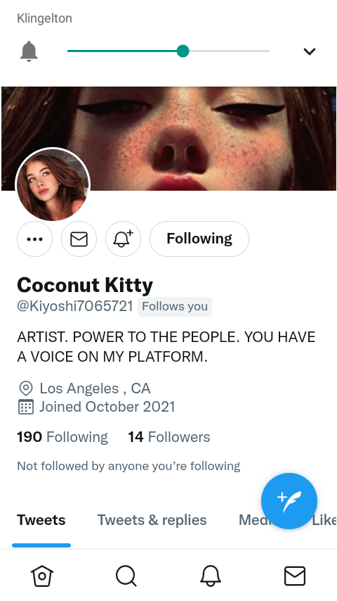 scammer-coconut-kitty-01.png
