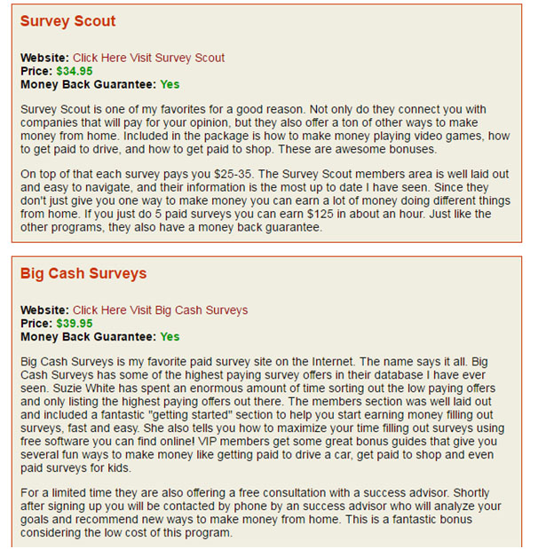 Paid Survey Scams Online Scams Work From Home -