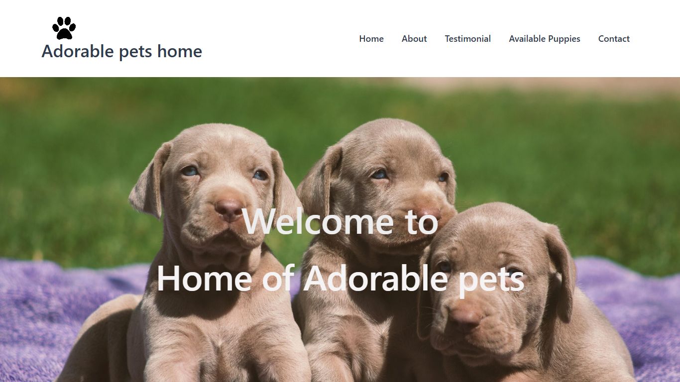 Adorable Pets Home