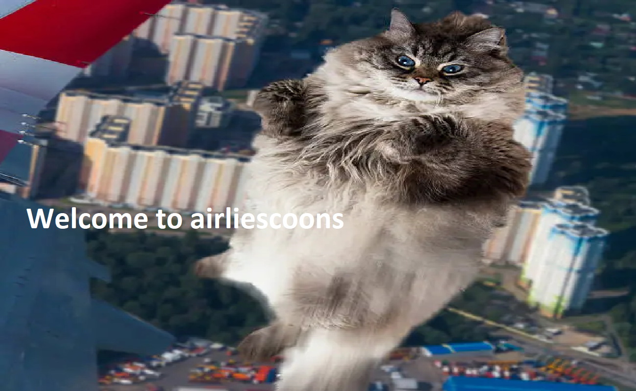 Airliecoons Cattery
