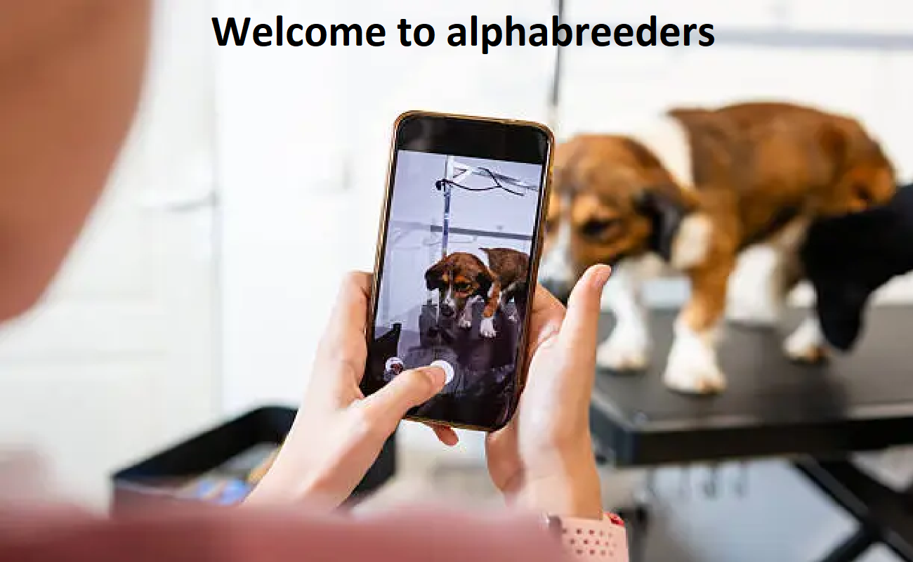 Alpha Breeders SA