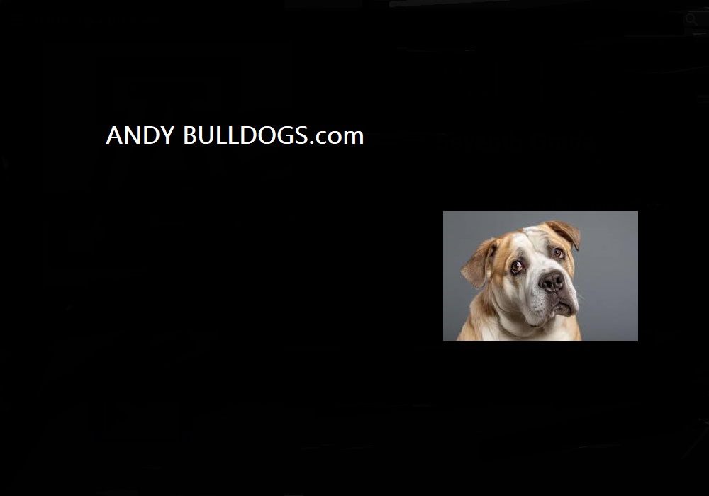 Andy Best Bulldog Farm
