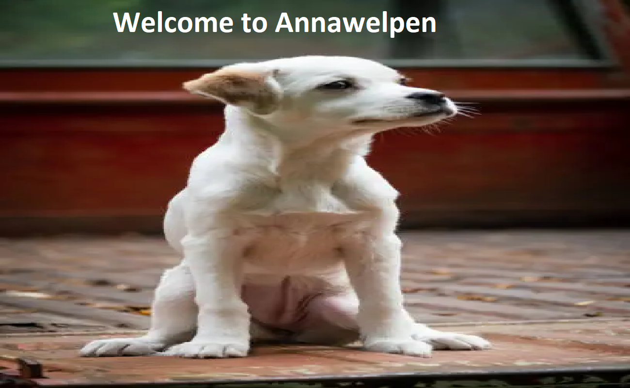 Anna Welpen Breeder