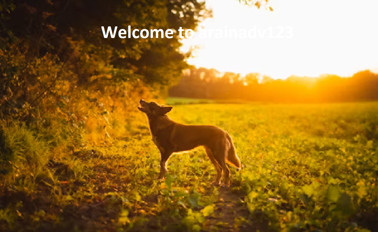 Jefter Wills Parrot Farm Jefter Wills Parrot Farm