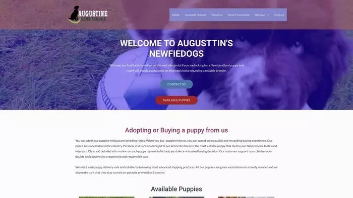 Augusti new fie dogs