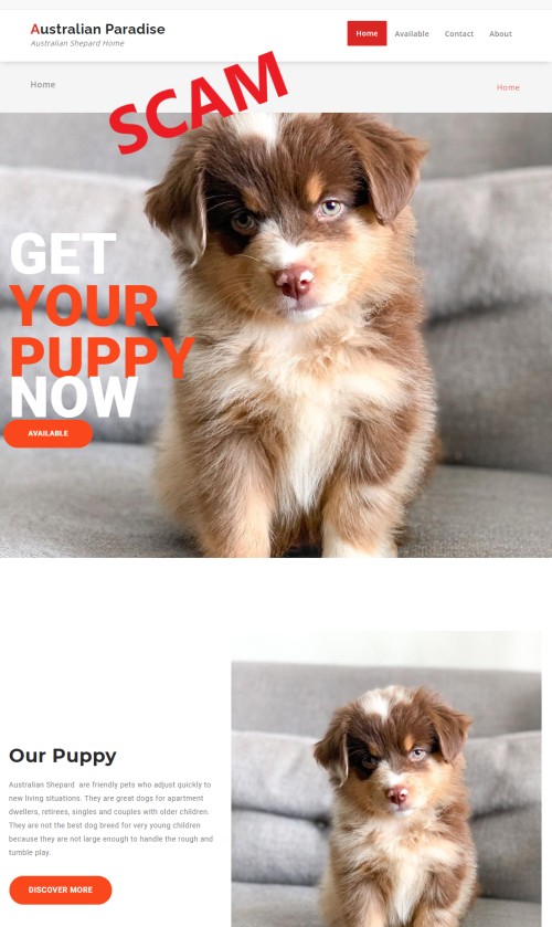 Australian Paradise Australian Paradise