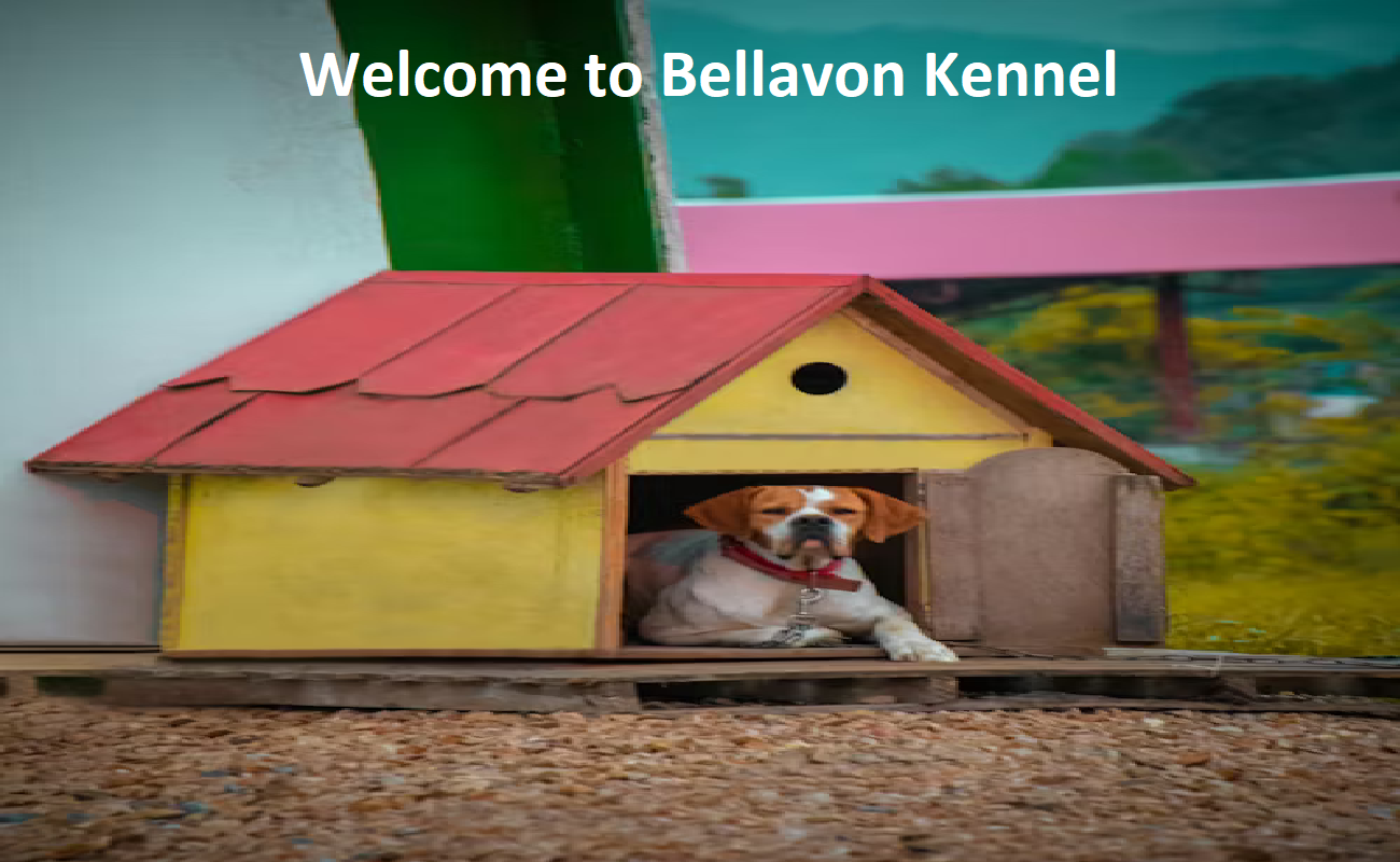 Bella Von Padilha's Kennel