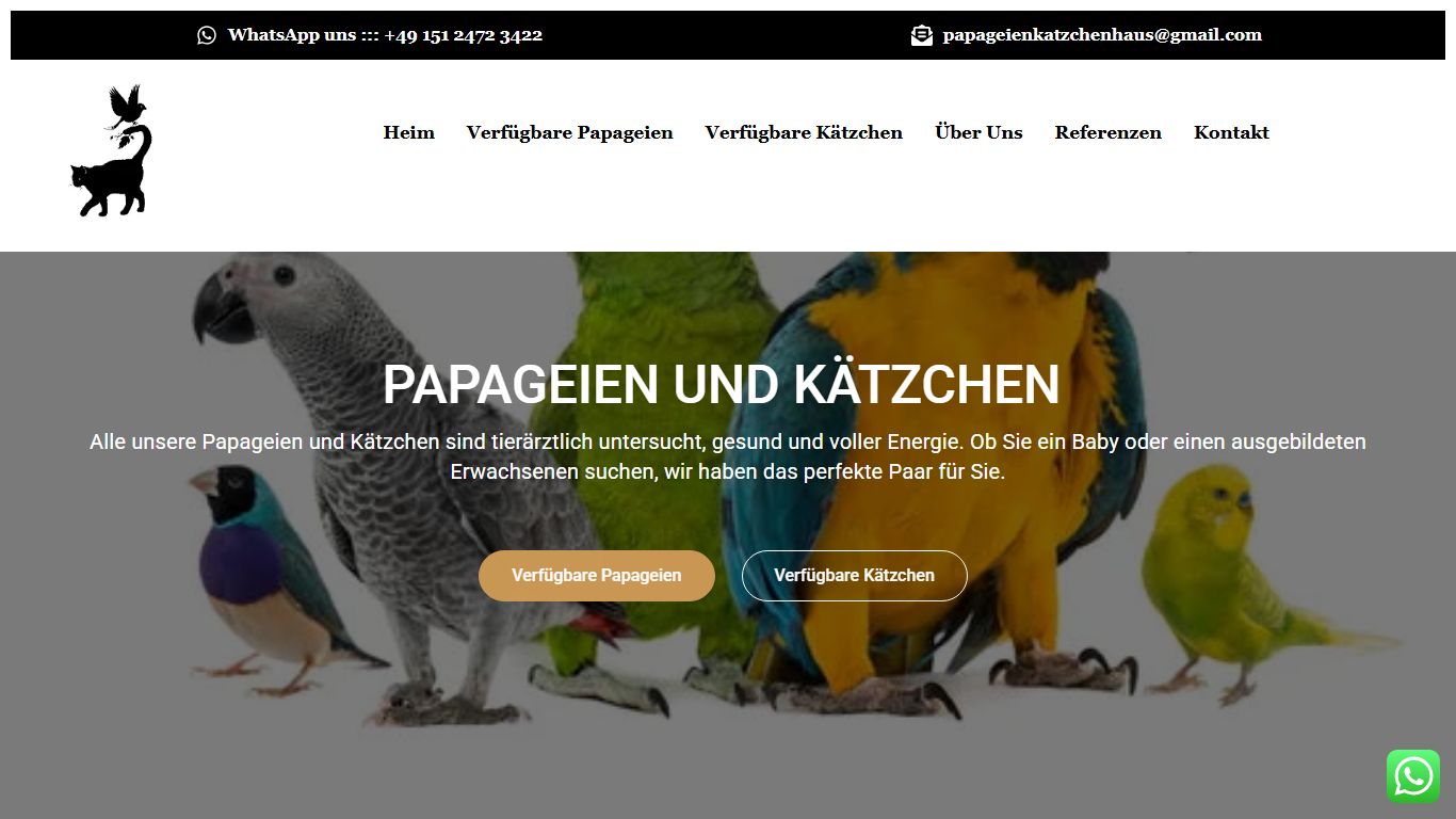 Beste Papageien Hause