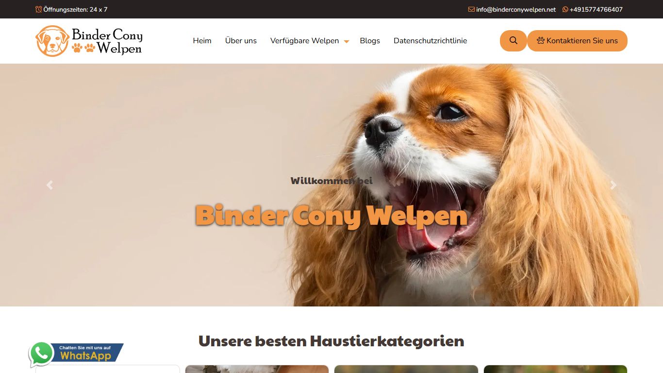 Binder Cony Welpen