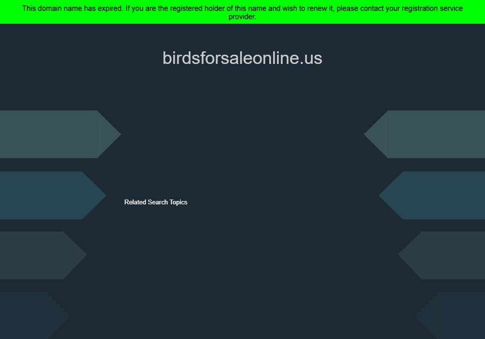 Birds For Sale Online Birds For Sale Online