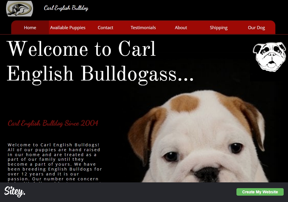 Carl Bulldog Puppies