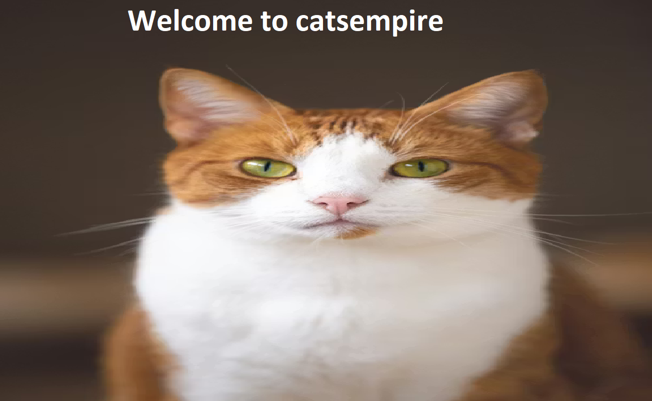 Cat Empire Cat Empire