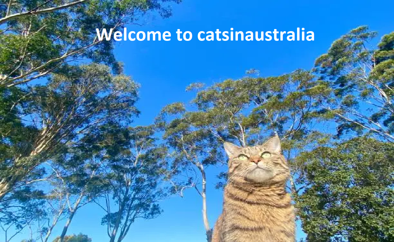 Cats in Australia