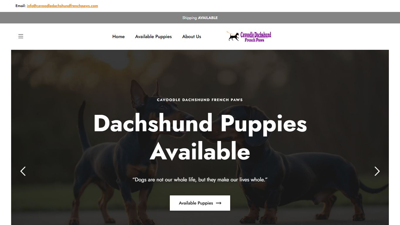 Cavoodle Dachshund French Paws