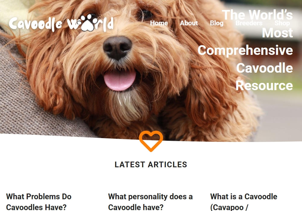 Cavoodle World Cavoodle World