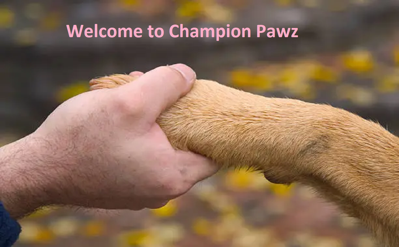 Champion Paws