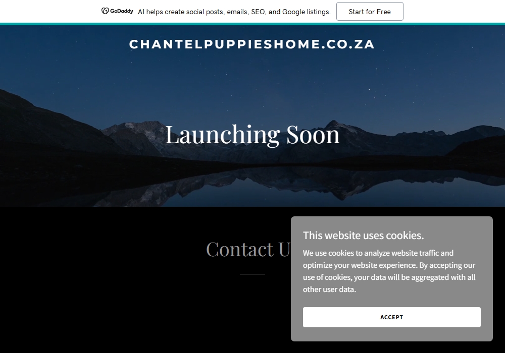Chantel Puppies Home Chantel Puppies Home