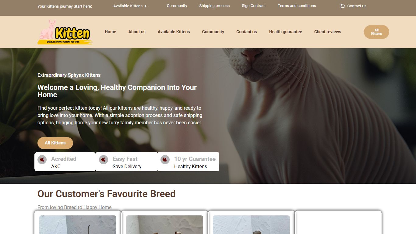 Charlie Sphynx Kittens