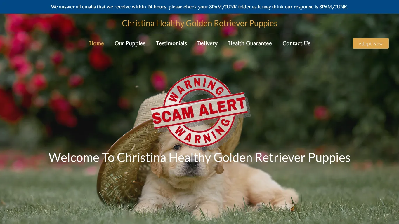 christinahealthygoldenretrieverpuppies.webp
