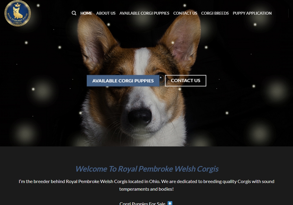 The Corgi Breeds