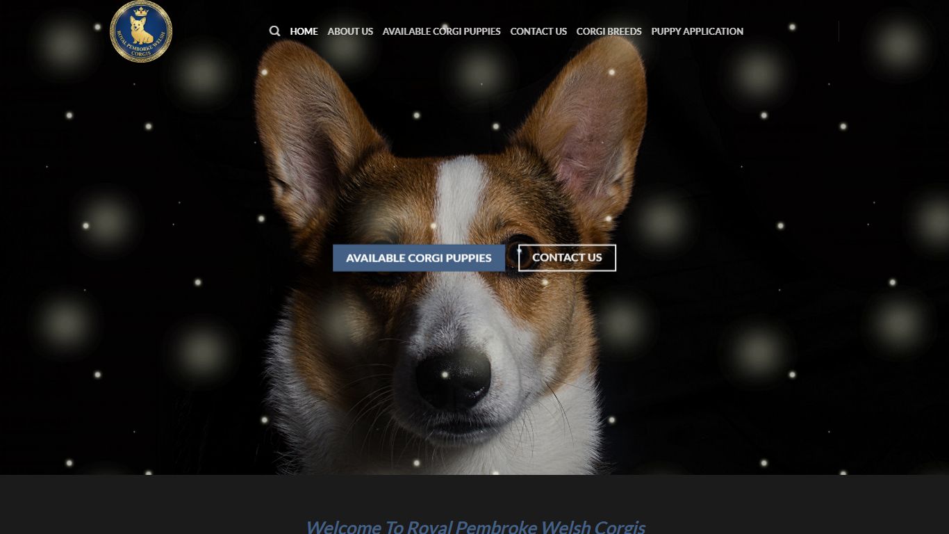 The Corgi Breeds The Corgi Breeds