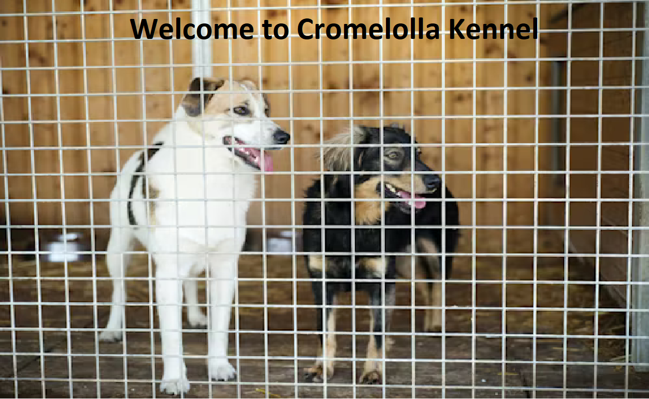 Cromelolla Kennel