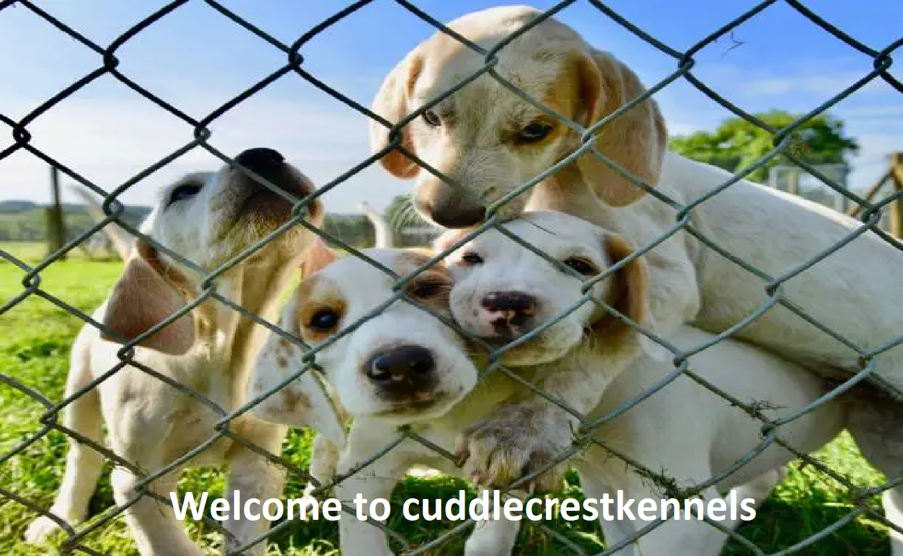 Cuddle Crest Kennel