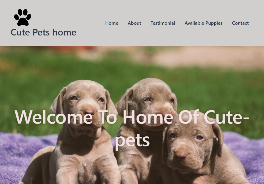 Cute Pets
