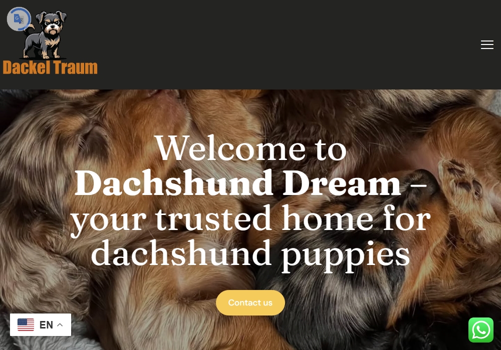 Dackel Traum