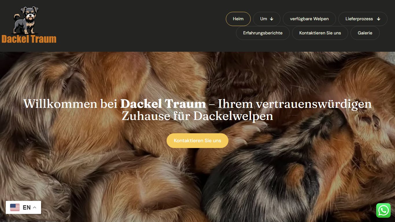 Dackel Traum