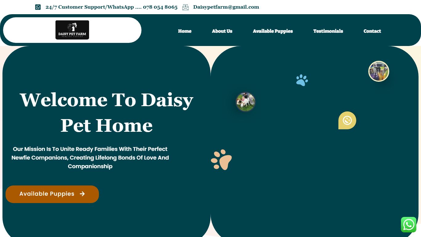 Daisy Pet Home / Lamerie Puppies