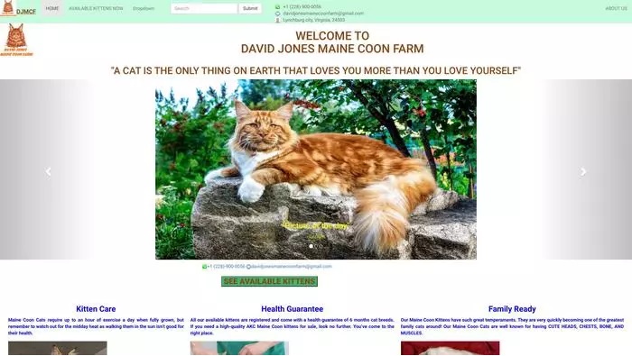 David jones maine coon farm