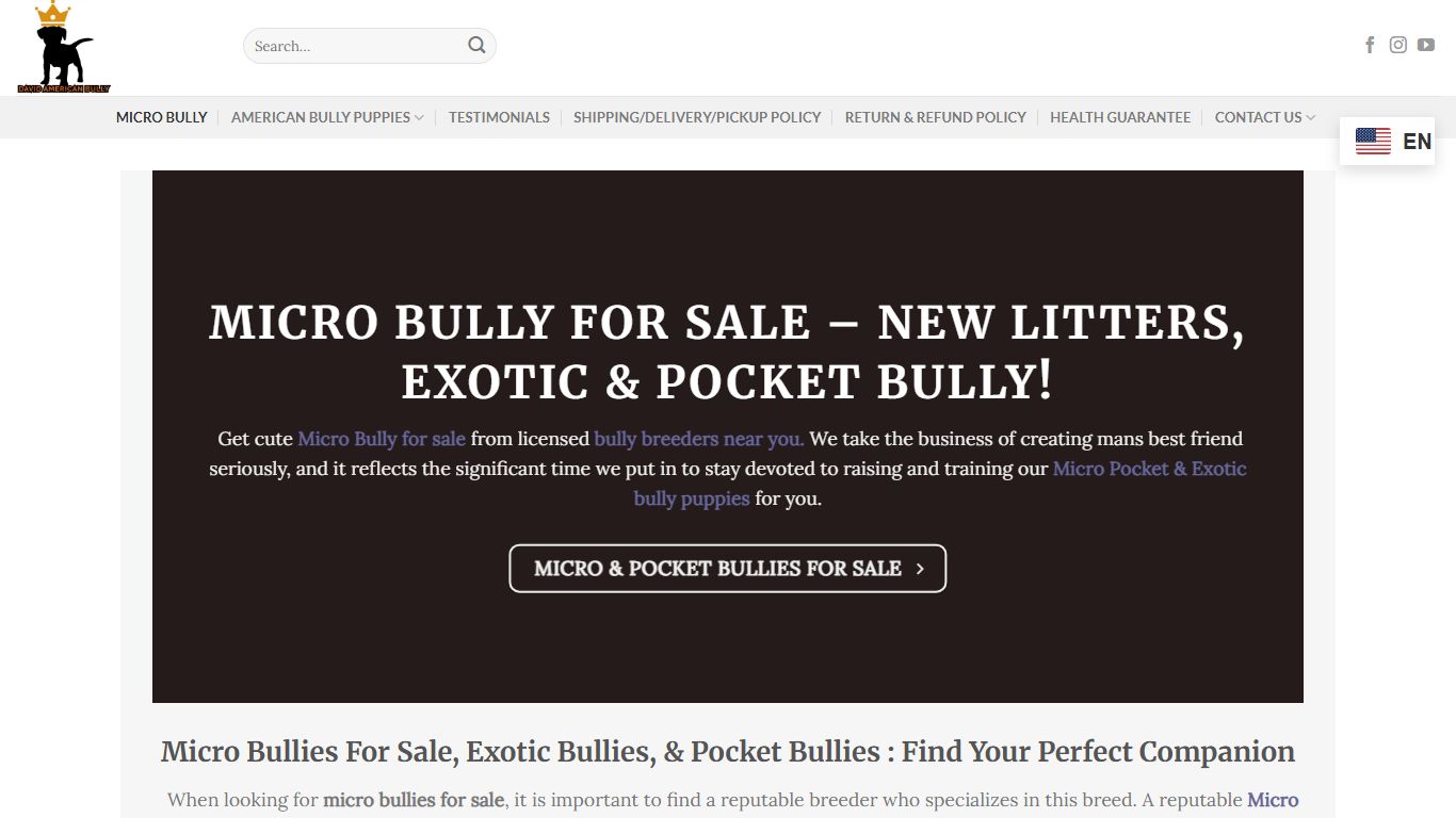 David American Bully