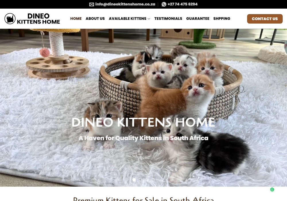 Dineo Kittens Home