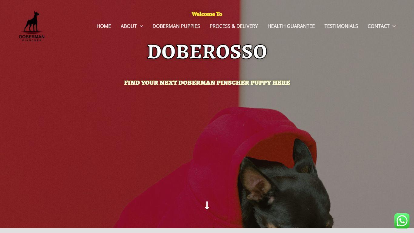 Doberosso