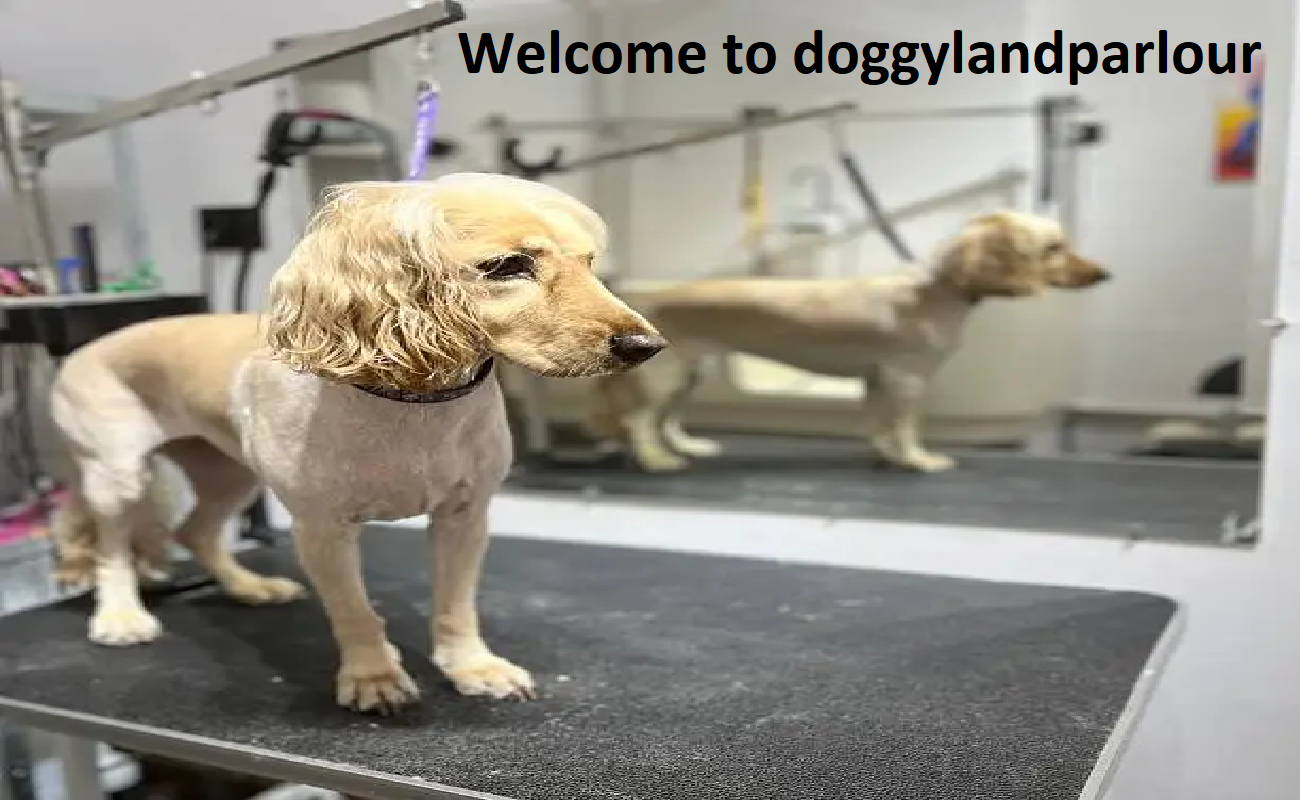 Starlight Paws Kennel