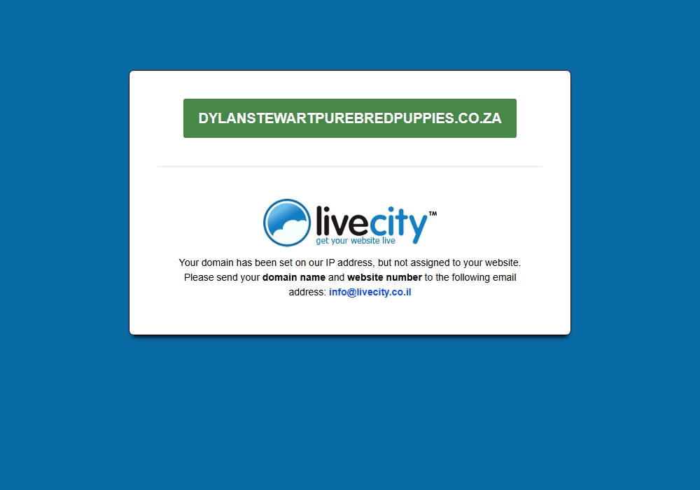 Dylan Stewart Purebred Puppies Dylan Stewart Purebred Puppies