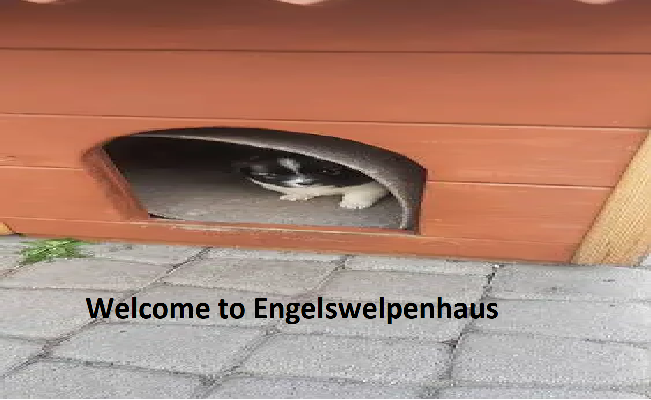 Engels Welpen Haus