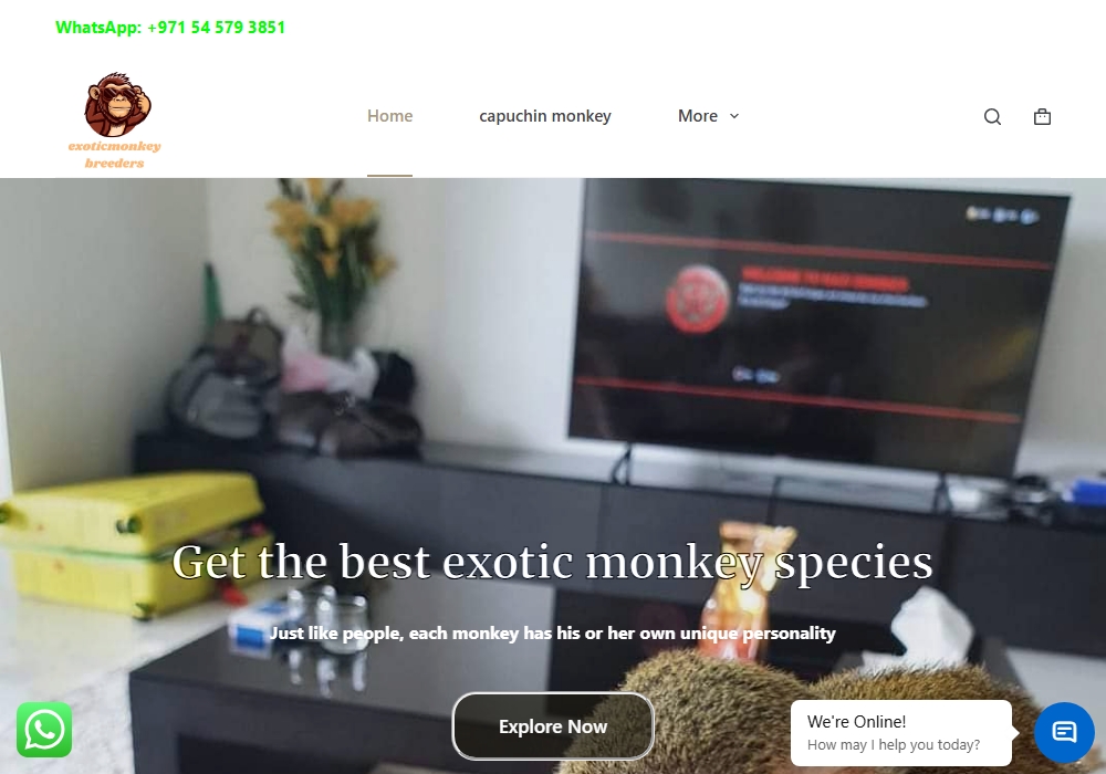 Exoticmonkey Breeders