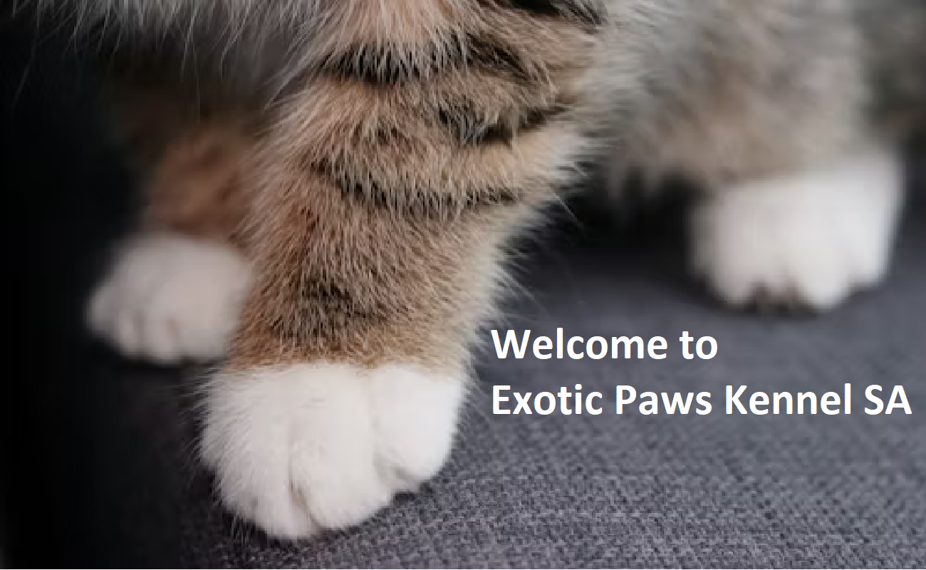 Exotic Paws Kennel