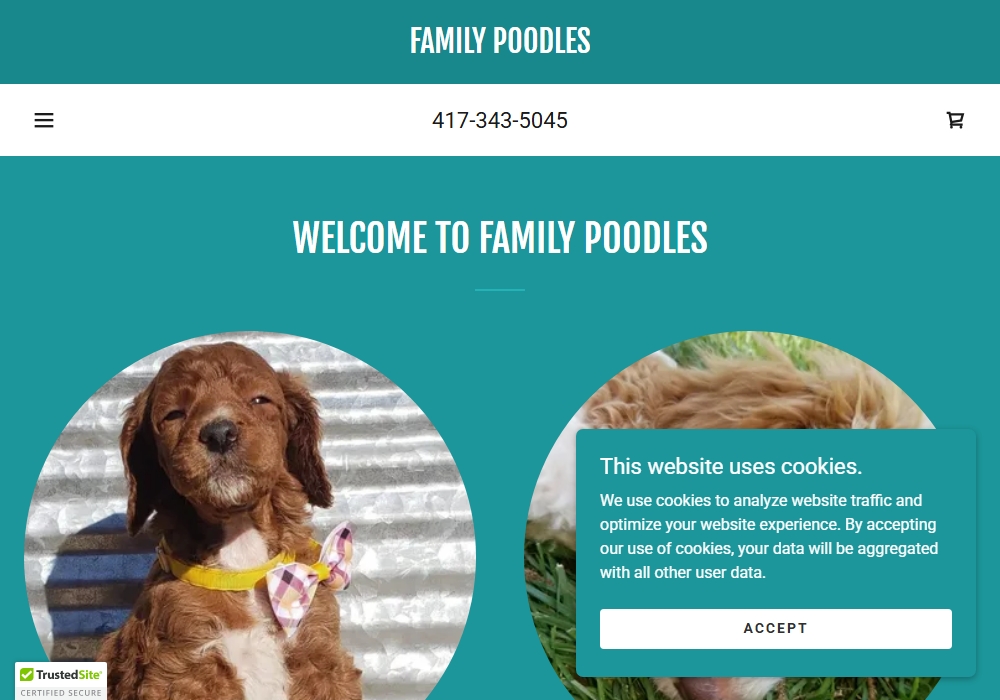 Family Poodles Breeder