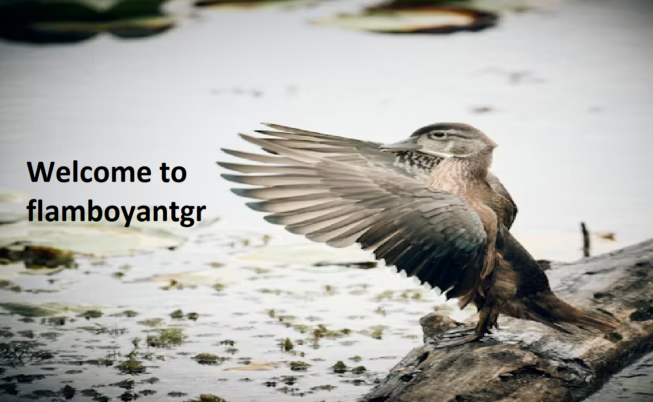 Flamboyat GR Flamboyat GR