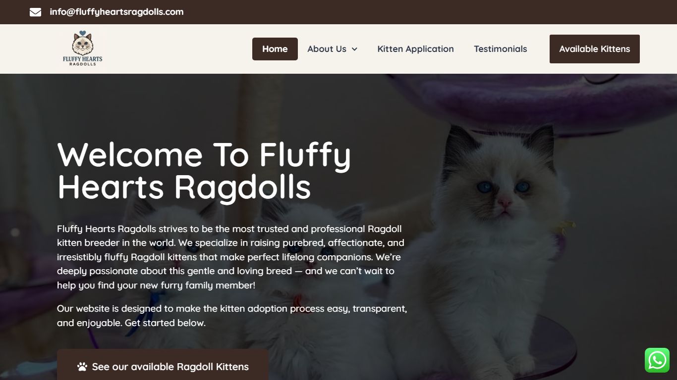 Fluffy Hearts Ragdolls