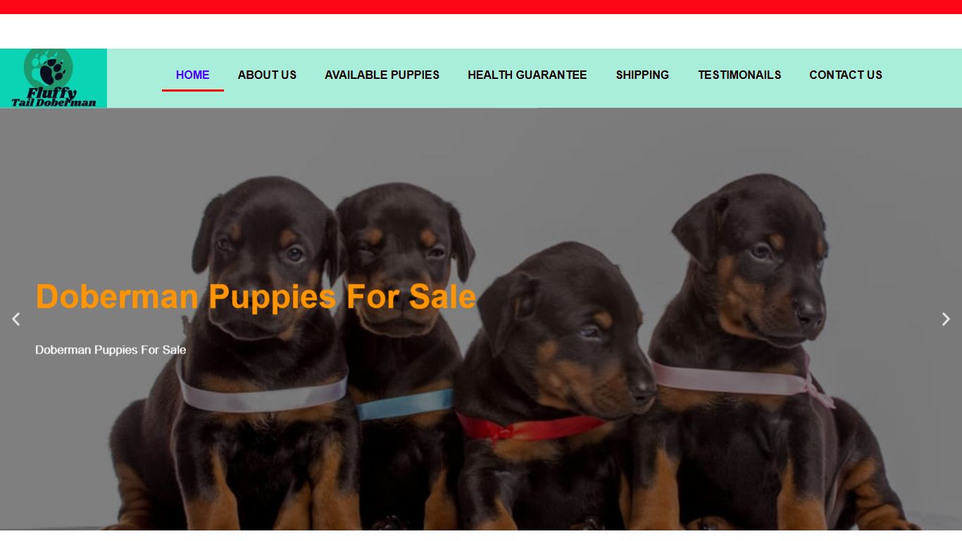 Fluffy Tails Doberman Fluffy Tails Doberman