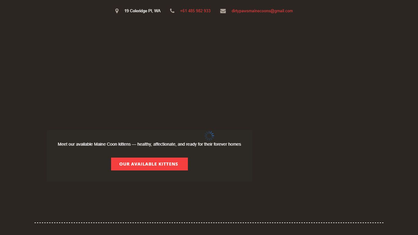 Flufy Maine Coon Home