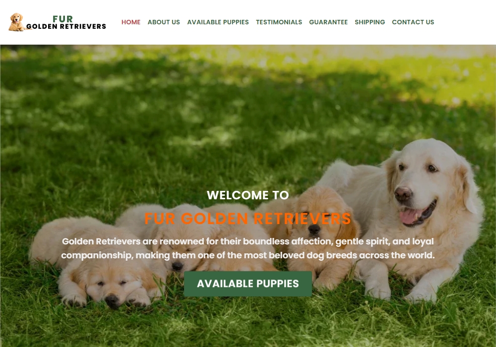 Fur Golden Retrievers Fur Golden Retrievers