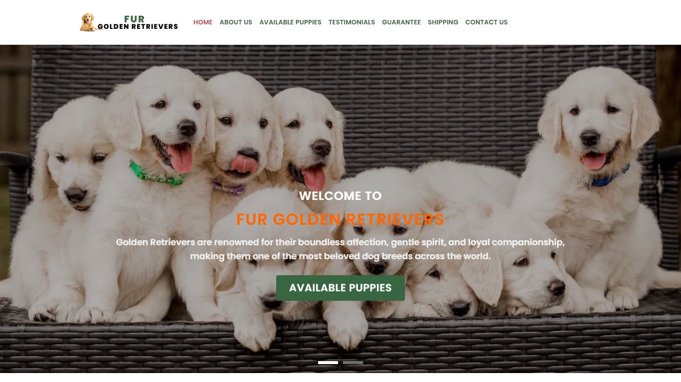 Fur Golden Retrievers