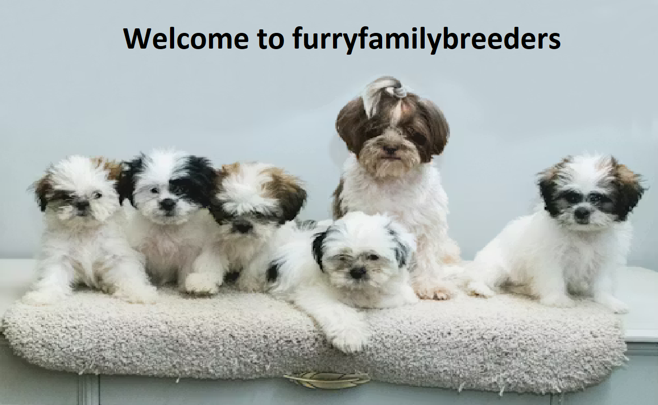 Furry Family Breeders SA Furry Family Breeders SA