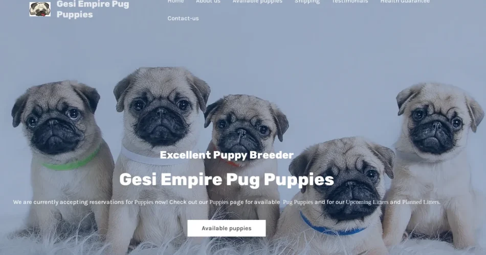Gesi Empire Pug Puppies